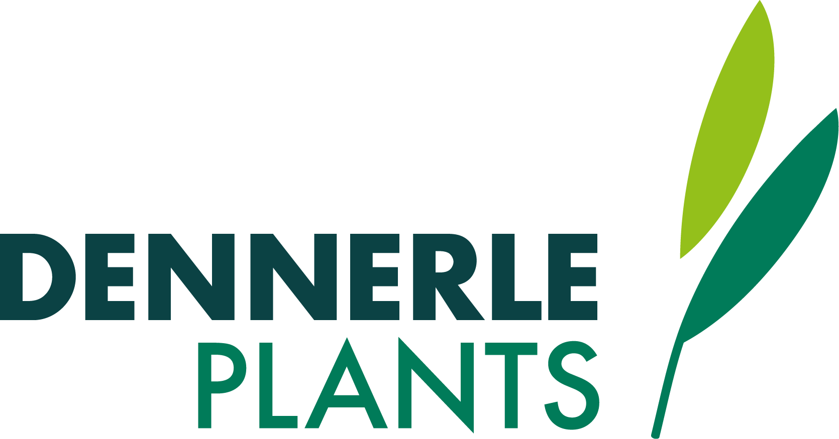 Dennerle logo